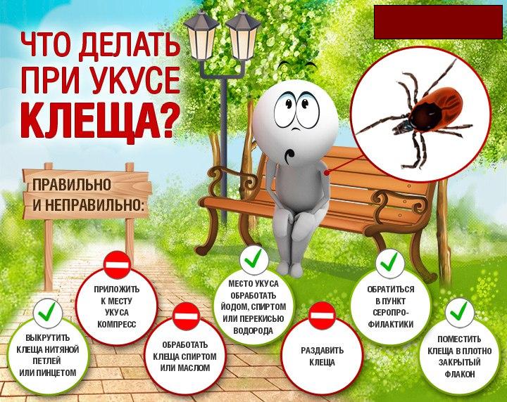 Соцопрос по информированности о клещевом энцефалите