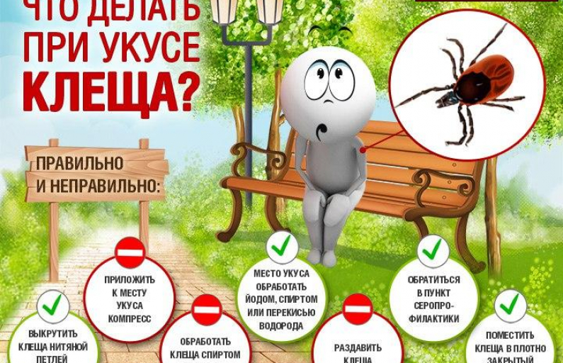 Соцопрос по информированности о клещевом энцефалите