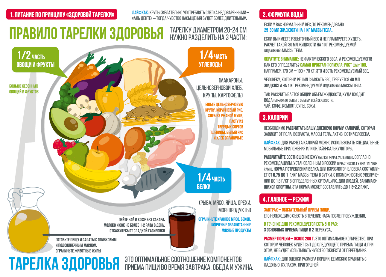 Сон, вода и еда – наши надежные друзья!