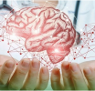 Здоровье головного мозга!